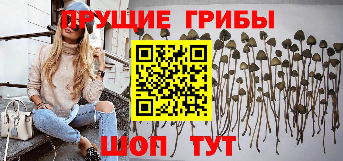 Псилоцибиновые грибы прущие грибы  Вход с VPN  Псилоцибиновые грибы мицелий  Избербаш 